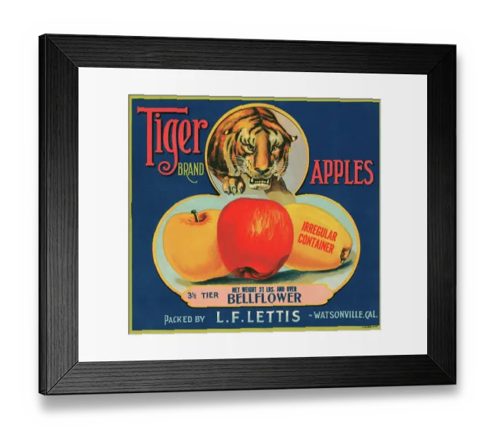 Framed Print : Tiger Brand Apples Framed Print : Tiger Brand Apples