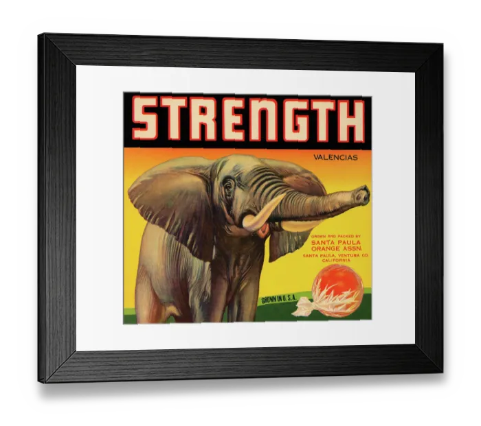 Framed Print : Strength Brand Valencias Framed Print : Strength Brand Valencias