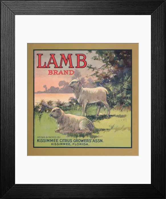 Framed Print : Lamb Brand Framed Print : Lamb Brand