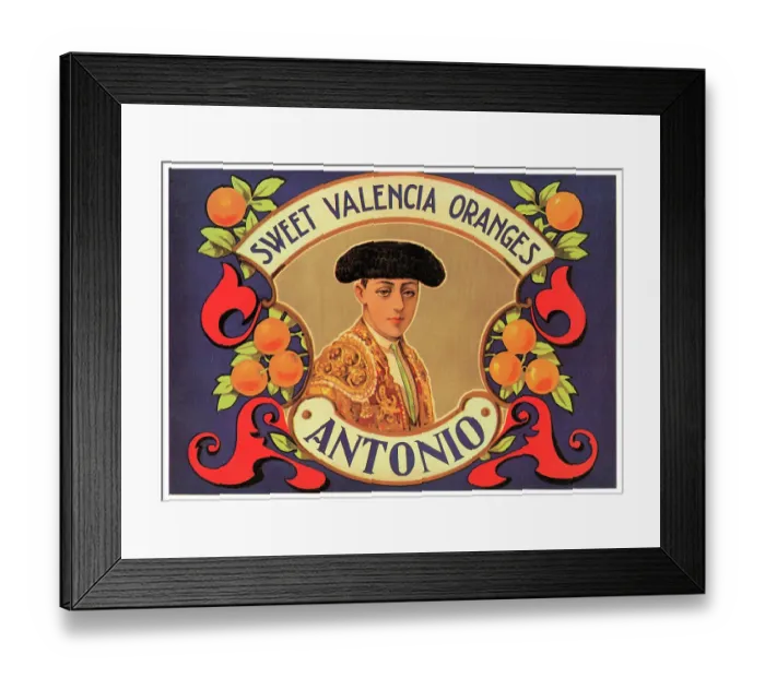 Framed Print : Antonio Sweet Valencia Oranges Framed Print : Antonio Sweet Valencia Oranges