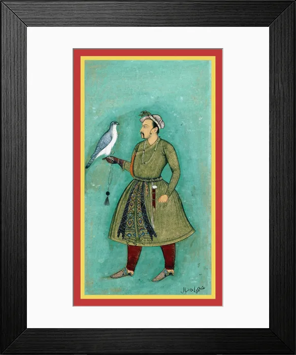 Framed Print : Daniyal with a hawk Framed Print : Daniyal with a hawk