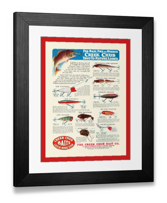 Framed Print : Creek Chub Baits Catch More Fish Framed Print : Creek Chub Baits Catch More Fish