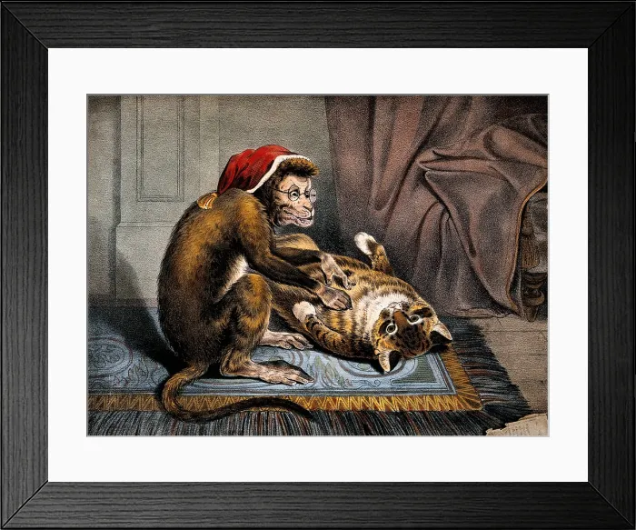 Framed Print : Flea Physical Framed Print : Flea Physical