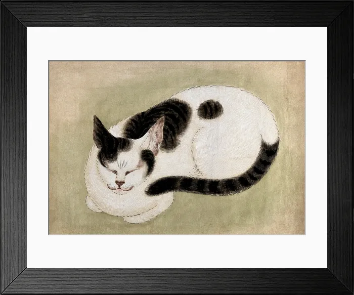 Framed Print : A Sleeping Cat Framed Print : A Sleeping Cat