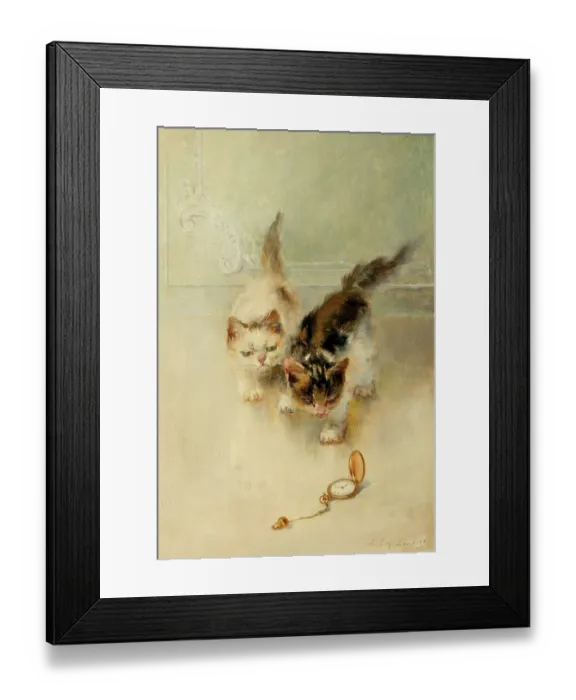 Framed Print : Two Kittens Playing Framed Print : Two Kittens Playing