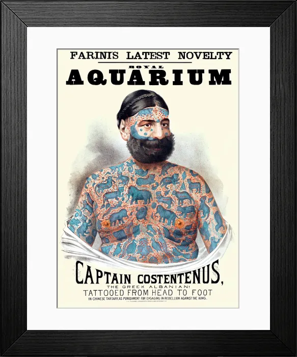 Framed Print : Captain Costentenus Framed Print : Captain Costentenus