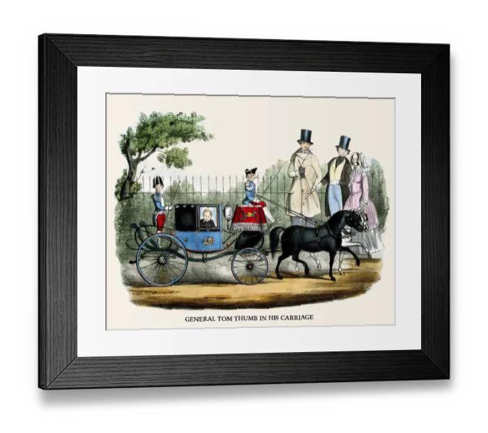Framed Print : General Tom Thumb, in his carriage