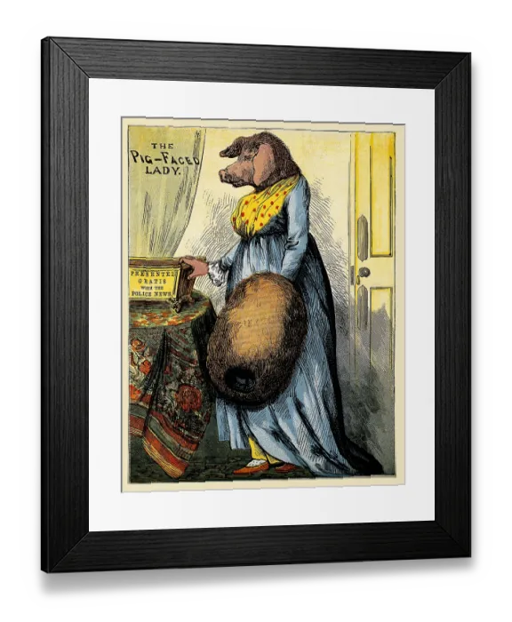 Framed Print : The pig-faced lady Framed Print : The pig-faced lady