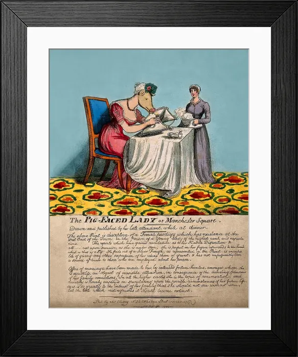 Framed Print : The pig-faced lady of Manchester Square Framed Print : The pig-faced lady of Manchester Square