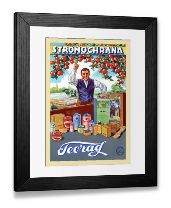 Framed Print : Stromochrana Tree Protection Framed Print : Stromochrana Tree Protection