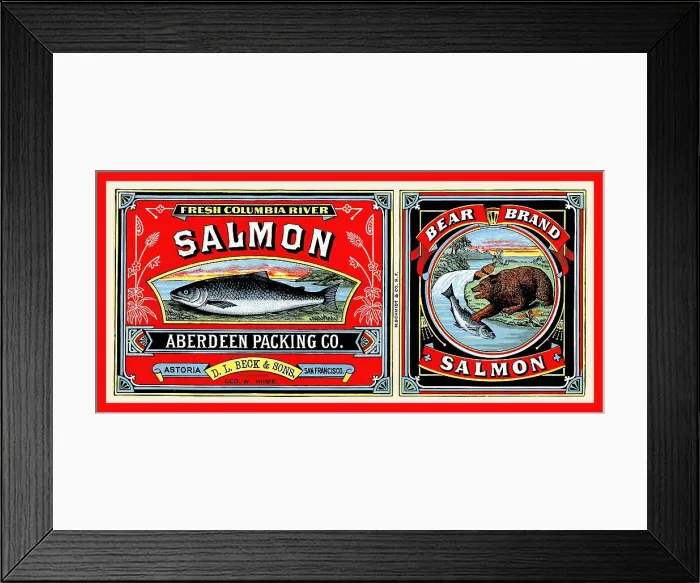 Framed Print : Bear Brand Salmon Framed Print : Bear Brand Salmon