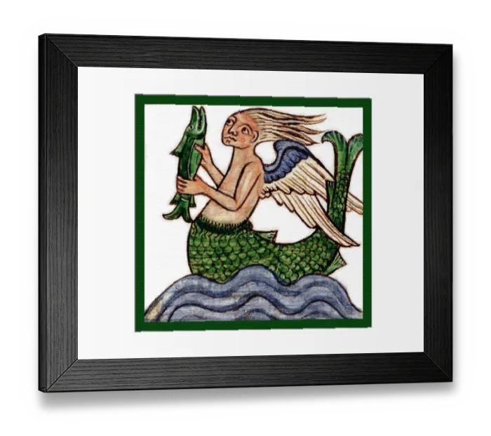 Framed Print : Animali fantastici Framed Print : Animali fantastici
