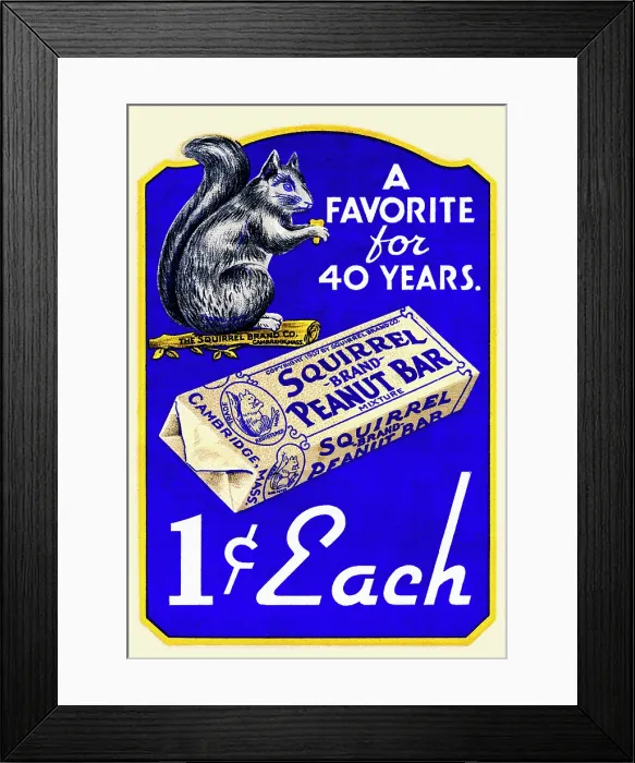 Framed Print : Squirrel Brand Peanut Bar Framed Print : Squirrel Brand Peanut Bar
