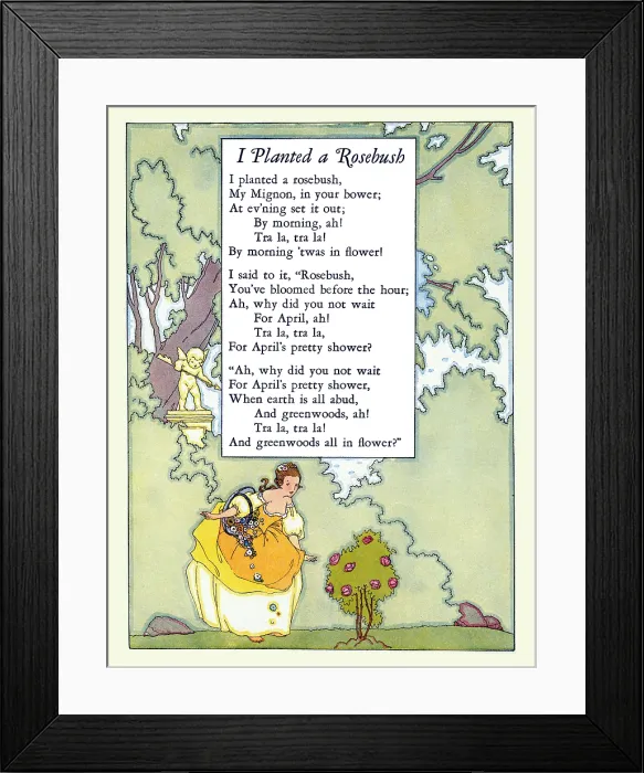 Framed Print : I Planted a Rosebush Framed Print : I Planted a Rosebush