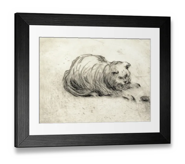 Framed Print : Mrs. Ward's cat Framed Print : Mrs. Ward's cat