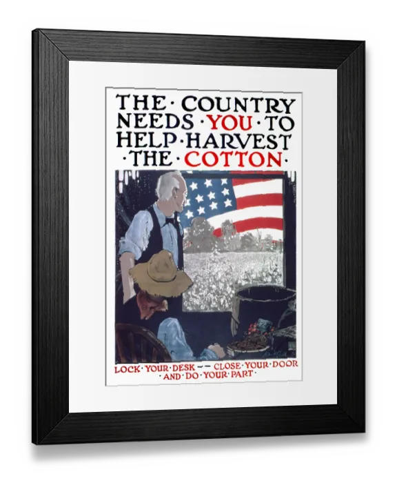 Framed Print : The Country Needs You To Help Harvest The Cotton