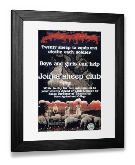 Framed Print : Join A Sheep Club Framed Print : Join A Sheep Club
