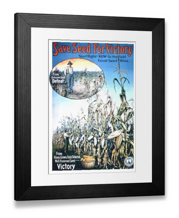 Framed Print : Save Seed For Victory Framed Print : Save Seed For Victory