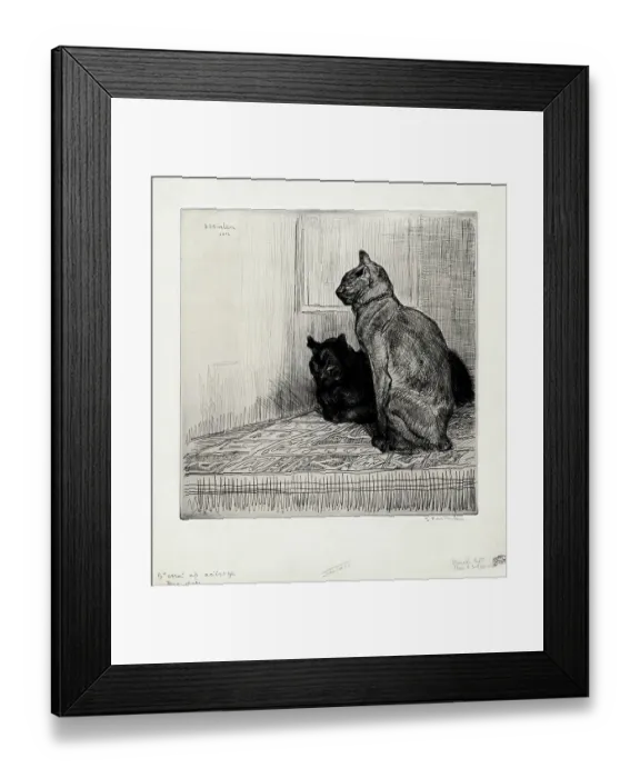 Framed Print : Deux chats sur un meuble Framed Print : Deux chats sur un meuble
