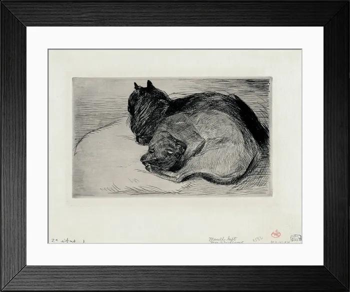 Framed Print : Two sleeping cats Framed Print : Two sleeping cats