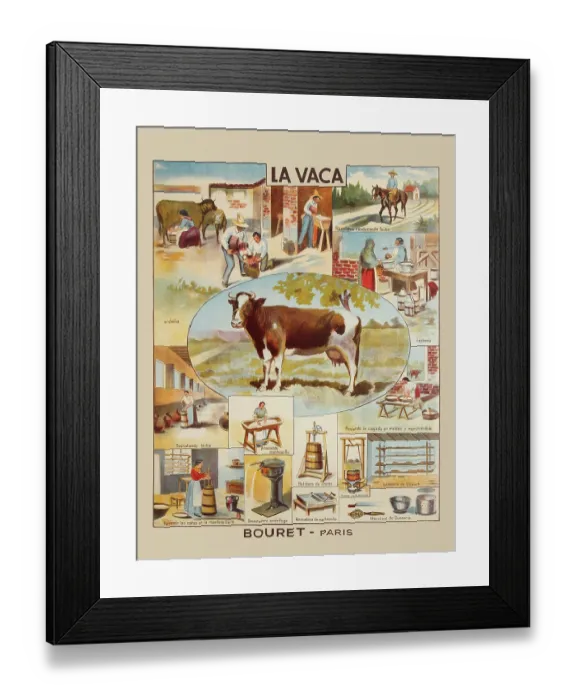 Framed Print : La Vaca. Spanish language teaching aid poster printed Framed Print : La Vaca. Spanish language teaching aid poster printed