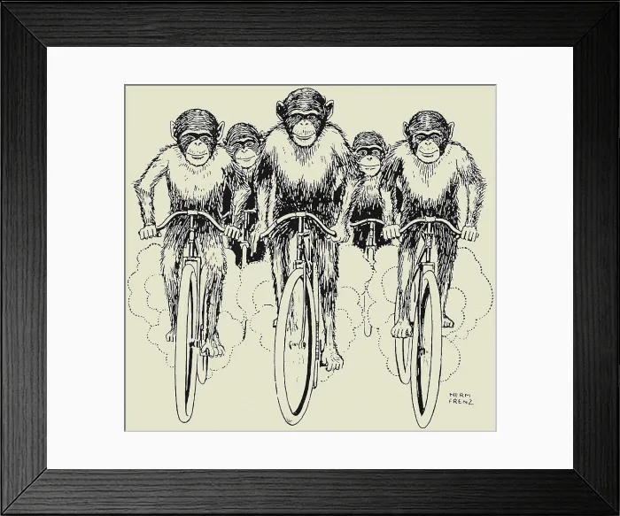 Framed Print : Cycling Chimps Framed Print : Cycling Chimps