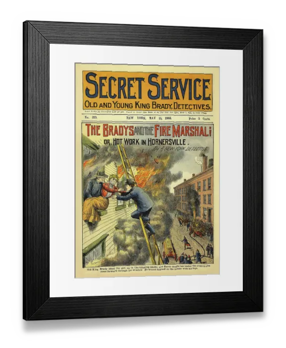 Framed Print : The Brady's and the Fire Marshal Framed Print : The Brady's and the Fire Marshal