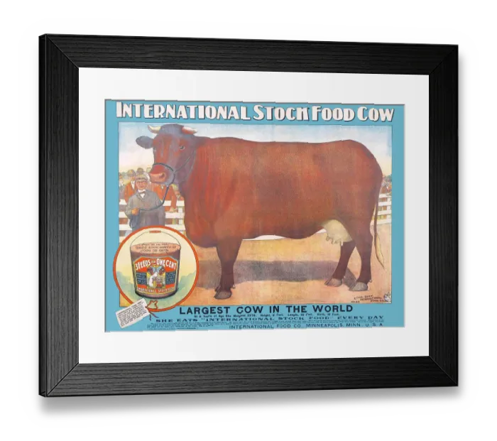 Framed Print : Largest Cow in the World Framed Print : Largest Cow in the World