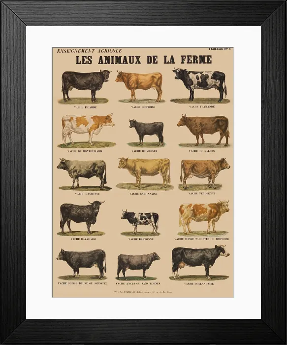 Framed Print : Les Animaux de la Ferme Framed Print : Les Animaux de la Ferme
