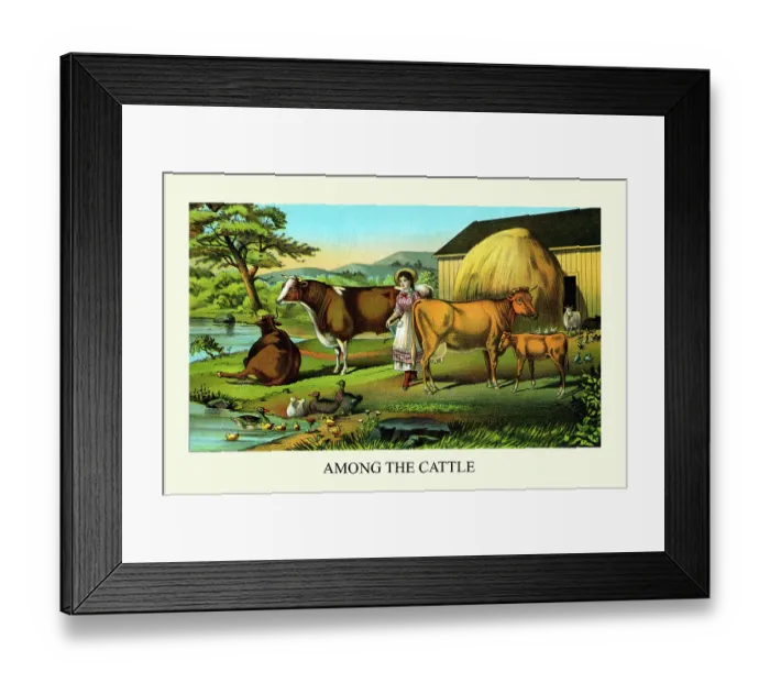 Framed Print : Among the Cattle Framed Print : Among the Cattle