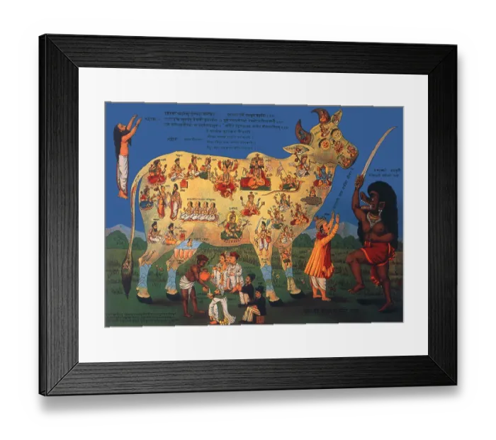 Framed Print : Chaurasi Devataon-wali Gai Framed Print : Chaurasi Devataon-wali Gai