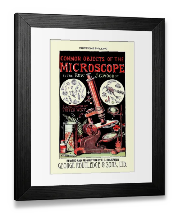 Framed Print : Common Objects of the Microscope Framed Print : Common Objects of the Microscope