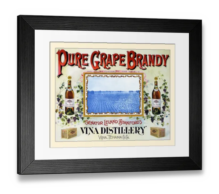 Framed Print : Pure Grape Brandy Framed Print : Pure Grape Brandy