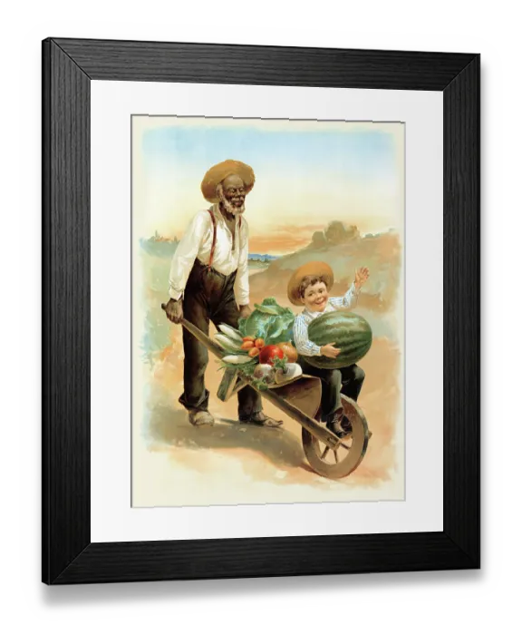 Framed Print : Vegetables from the garden Framed Print : Vegetables from the garden