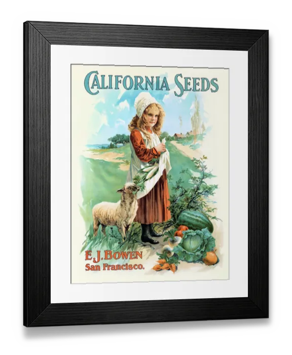Framed Print : California Seeds. E. J. Bowen Framed Print : California Seeds. E. J. Bowen