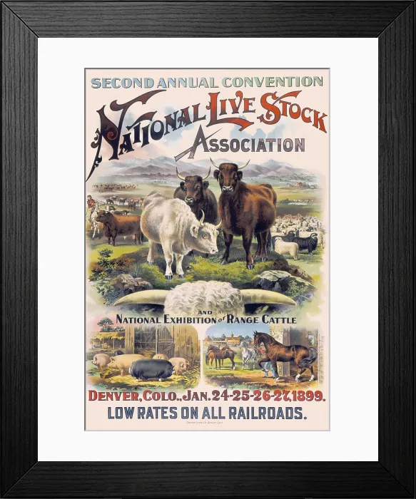 Framed Print : National Live Stock Association Convention Framed Print : National Live Stock Association Convention
