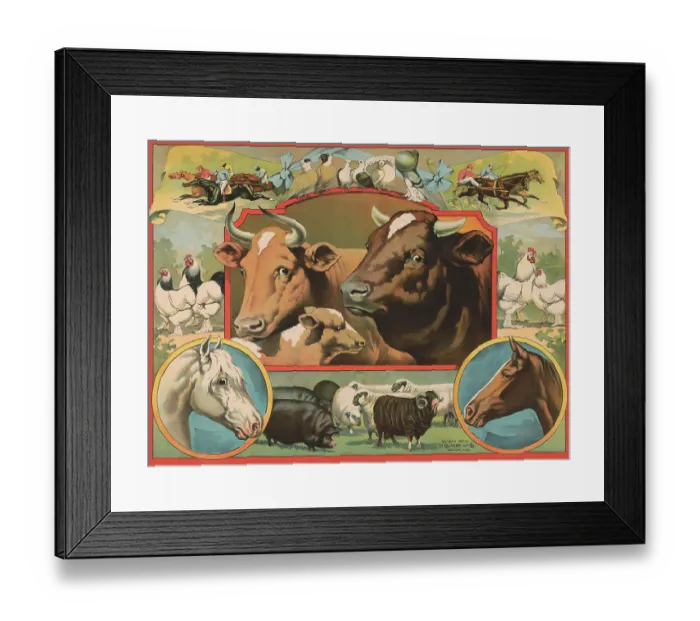 Framed Print : Cow Print #275 Framed Print : Cow Print #275