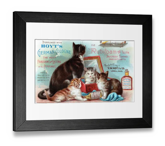 Framed Print : Hoyt's Cats Framed Print : Hoyt's Cats