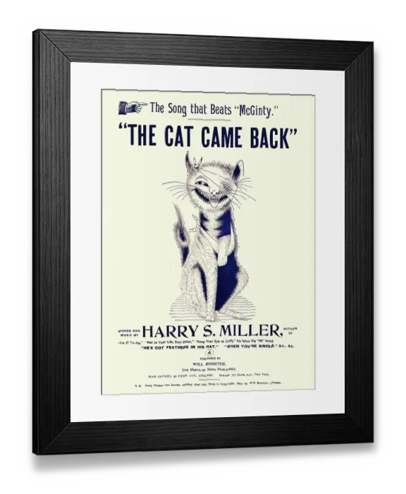 Framed Print : The Cat Came Back Framed Print : The Cat Came Back