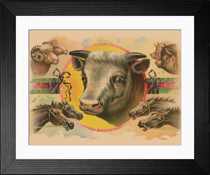 Framed Print : Images of Farm Animals Framed Print : Images of Farm Animals