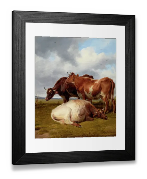 Framed Print : Cattle Grazing Framed Print : Cattle Grazing