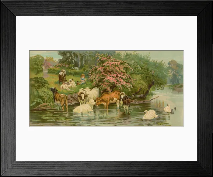 Framed Print : Cows and swans with a little girl