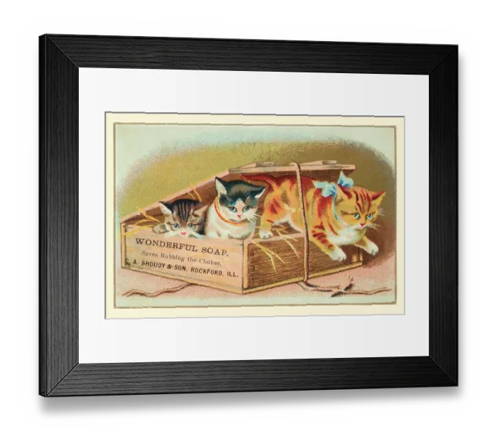 Framed Print : Soap Box Cats II Framed Print : Soap Box Cats II