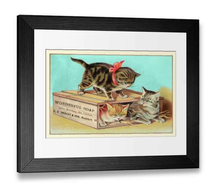 Framed Print : Soap Box Cats I Framed Print : Soap Box Cats I