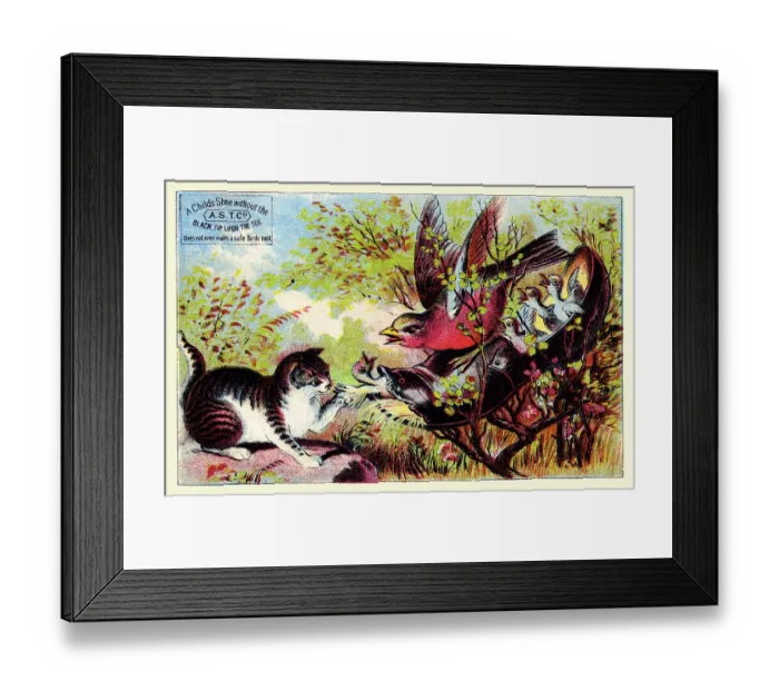 Framed Print : Shoe Robber Framed Print : Shoe Robber