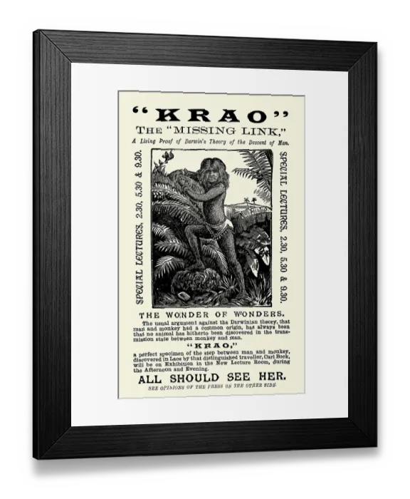 Framed Print : Krao - The missing link Framed Print : Krao - The missing link