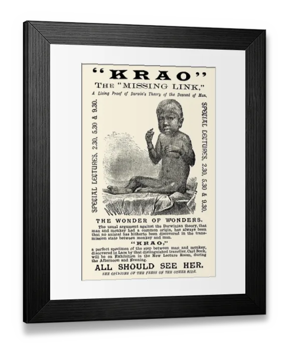 Framed Print : Krao, the missing link Framed Print : Krao, the missing link
