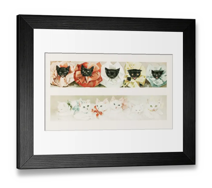 Framed Print : Prang's Cats Framed Print : Prang's Cats