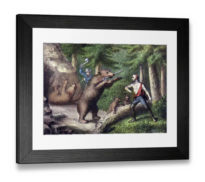 Framed Print : Bears fighting miners Framed Print : Bears fighting miners
