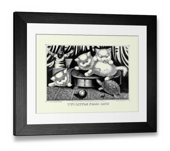 Framed Print : Two little fraid cats Framed Print : Two little fraid cats